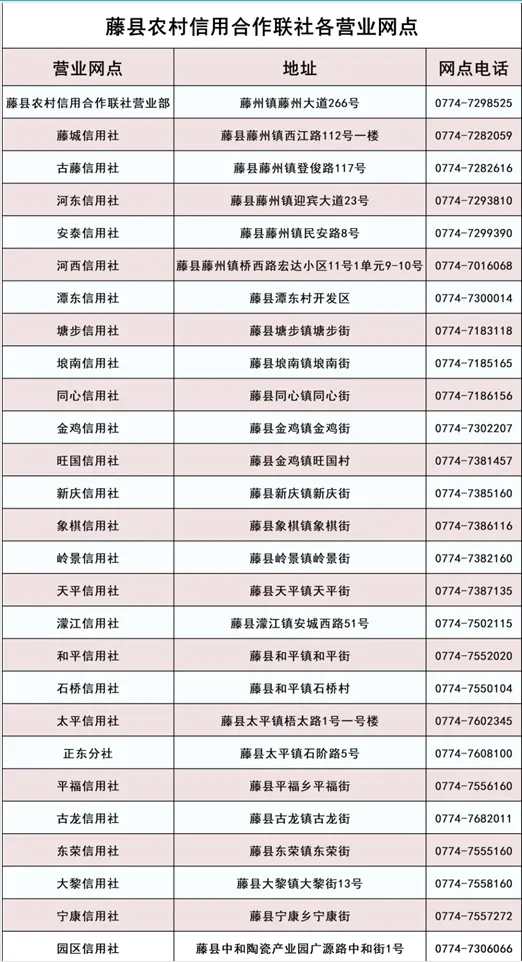 2025年藤縣農信社寒假社會實踐招募公告